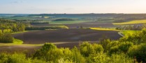 Le prix des terres agricoles en 2016