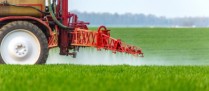 Le glyphosate autorisé pour 5 ans