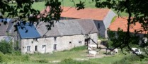 Reprise par le bailleur de terres agricoles louées : gare au contenu du congé !