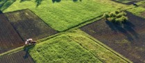 Gare à la cession du bail rural entre sociétés d’un même groupe !