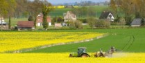 Agriculture : les réductions des zones de non-traitement retoquées par le Conseil constitutionnel !