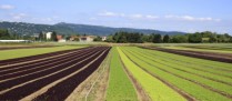 Bail rural : gare au départ de l’un des colocataires !