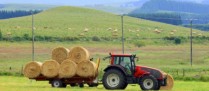 Suspension de l’interdiction du broyage et du fauchage des jachères