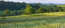 Un droit de préemption sur des terrains agricoles pour préserver la ressource en eau