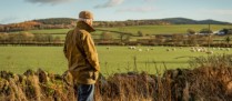 Mise à disposition d’une société de terres agricoles louées : il faut les exploiter !