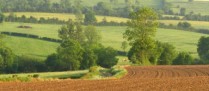 Clauses environnementales dans les baux ruraux