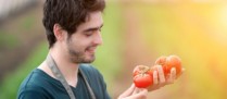 Aide à l’installation des jeunes agriculteurs