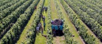 Dérogations aux règles d’hébergement des travailleurs saisonniers agricoles