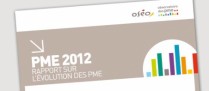 Panorama des PME en 2011 selon Oséo